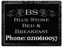 Blue Stone，位于提马鲁的酒店