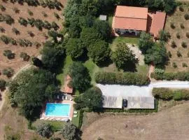 azienda agrituristica Allumiere