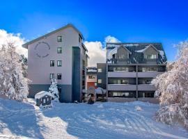 Snow Ski Apartments 28，位于福尔斯克里克的酒店