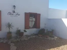 Olive Tree Cottage