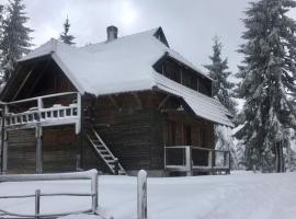 Apartman Mendrea，位于Konjska Reka的酒店