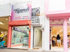 Hotel Palatino Valledupar，位于巴耶杜帕尔的酒店