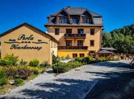 Perła Karkonoszy SPA - W samym centrum Karpacza