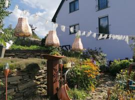 Im Erzgebirge Wandern, Fahrrad fahren oder entspannen，位于埃伦弗里德斯多夫安娜马尔洗浴附近的酒店