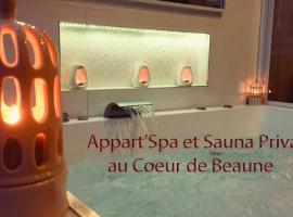 Appart' Spa et Sauna Privatif Au Cœur De Beaune，位于博讷波恩火车站附近的酒店