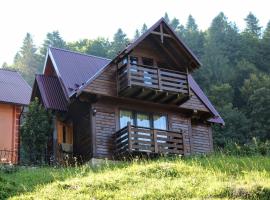 Cottage "Karpatske Shale"，位于亚列姆切的木屋