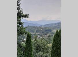 House in the Forest，位于Cătunu的度假屋