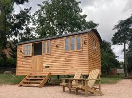 Shepherd’s Hut - The Mule