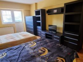 Apartament Zippi Republicii RHBM，位于巴亚马雷的公寓