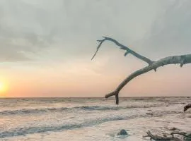 Meeresrauschen - direkt am Meer