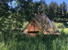 Bodhi Farms