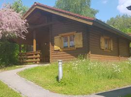 Blockhaus Bayerischer Wald，位于Stamsried的酒店