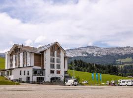 里施利酒店，位于瑟伦贝格多夫滑雪缆车附近的酒店