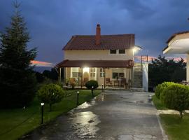 Guesthouse Anestis，位于安吉斯特隆的酒店