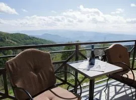 Dvori Sky View E13 Kopaonik - free private parking