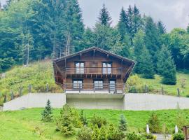 Chalet Le Jeuna，位于莫尔金斯的酒店