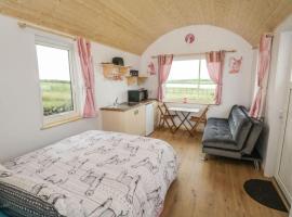 The Beautiful Lazy Llama Shepherd Hut Farm Stay，位于巴利香农的酒店