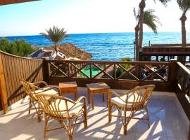 Penguin Village Dahab，位于达哈布的酒店