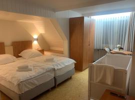Hotel Gold´ne Krone，位于奥彭海姆的酒店