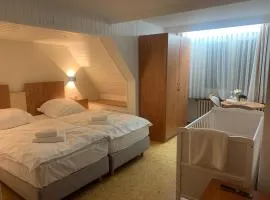 Hotel Gold´ne Krone