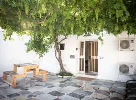 LIMASSOL AKROTIRI VINE COTTAGE a