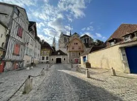 Appartement le Paul Bert Auxerre Les Quais 2 personnes