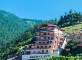 Борник Хил / Bornik Hill，位于代温的公寓式酒店