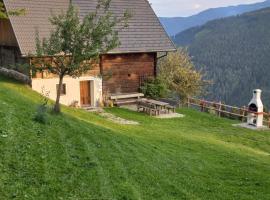 Berghütte Reissnerhof，位于Ranten的酒店