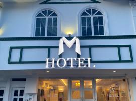 M Hotel，位于新山的酒店
