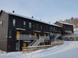 Ski Lodge Funäsdalen，位于菲奈斯达伦的木屋