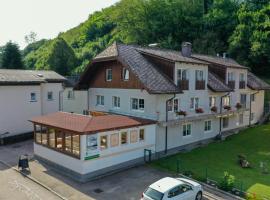 Gasthof-Pension Riedl，位于Vöcklamarkt的酒店