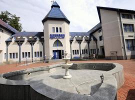 Hotel Bleumarin，位于Vaţa de Jos的酒店