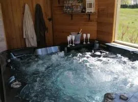 Chambre avec jacuzzi privatif "le pêcher"