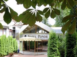 Hotel Ponor，位于Vaţa de Jos的酒店