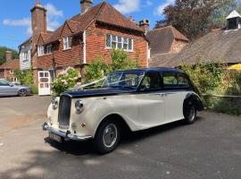 THE OLD VINE COUNTRY INN，位于Wadhurst的酒店