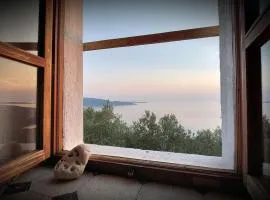 Ustrine view