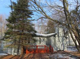 Cozy Pocono Cottage near Jack Frost Jim Thorpe，位于Albrightsville的别墅