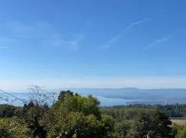 Petite maison à l'orée des bois vue magnifique sur le lac zenitude et plénitude