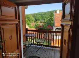 Apartmán pod Sříbrnou horou