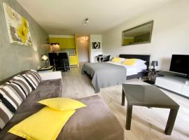 Studios & Appartements famille - Saillon Evasion，位于萨永的酒店