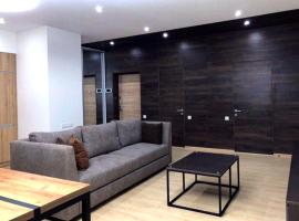 Apachestone Hotel，位于欧登塞的酒店