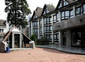 Hotel Phoenix，位于Vaţa de Jos的酒店