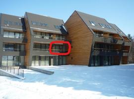 Apartma Runi pod Zlato lisico，位于Pekre瑞德万杰滑雪缆车附近的酒店