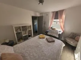 Entire apartment with sun filled private garden