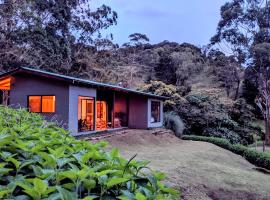Olingo Monteverde，位于蒙泰韦尔德哥斯达黎加圣埃伦娜多云雾森林保护区附近的酒店