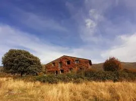 EL CUENTO DE LA ENCINA. Un espacio para sentir