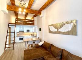 Angel Apartment Černý důl，位于切尔尼杜尔的酒店
