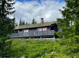 Centrally located cottage at Sjusjøen ski center，位于Ringsaker的酒店