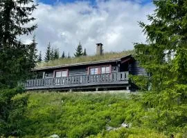 Centrally located cottage at Sjusjøen ski center