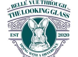 The Belle Through The Looking Glass，位于Sirhowy的酒店